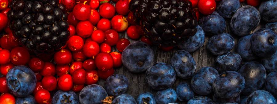 蔓越莓營養總攻略｜全面了解蔓越莓帶來的功效有哪些？