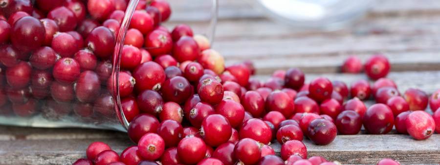 蔓越莓怎麼吃最好？ 5 方式讓妳由內而外散發自信光彩！